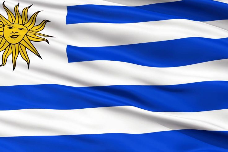 Uruguay Bayrağı